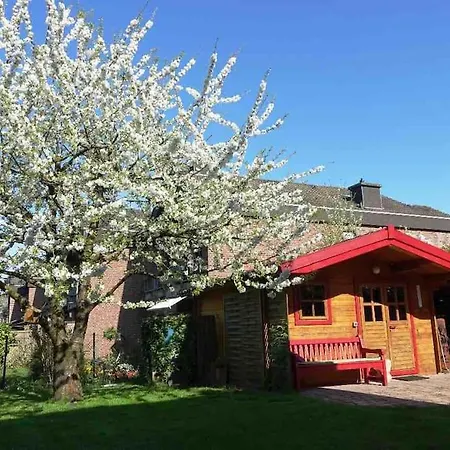 Suesse Souterrain-wohnung Mit Anbindung Nach Muenster *