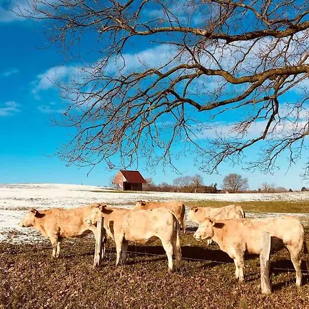 Suesse Souterrain-wohnung Mit Anbindung Nach Muenster Daire *
