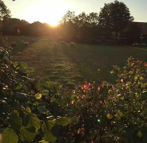 Appartement Suesse Souterrain-wohnung Mit Anbindung Nach Muenster Altenberge (Steinfurt)