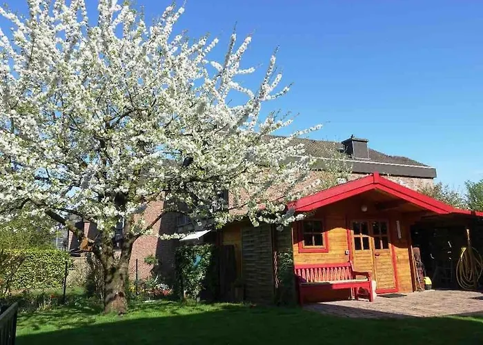 Suesse Souterrain-wohnung Mit Anbindung Nach Muenster *