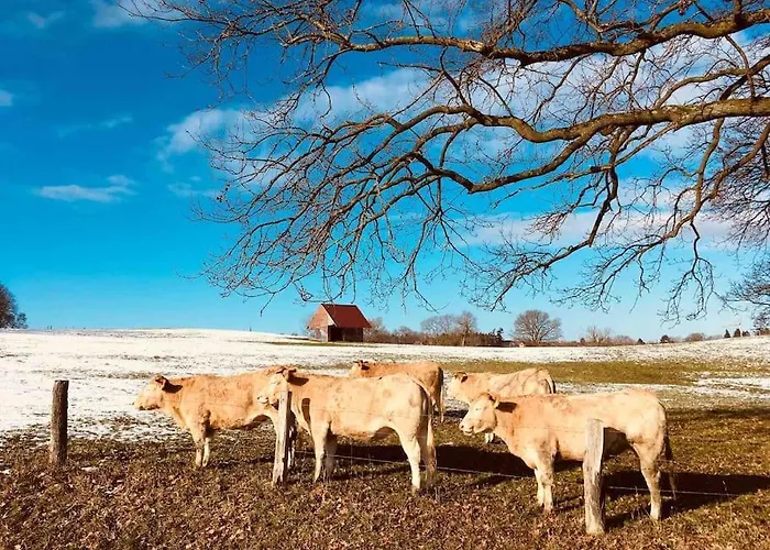 Suesse Souterrain-wohnung Mit Anbindung Nach Muenster Appartement *